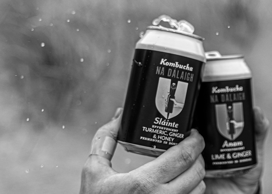 Sláinte & Anam (12 mixed cans)