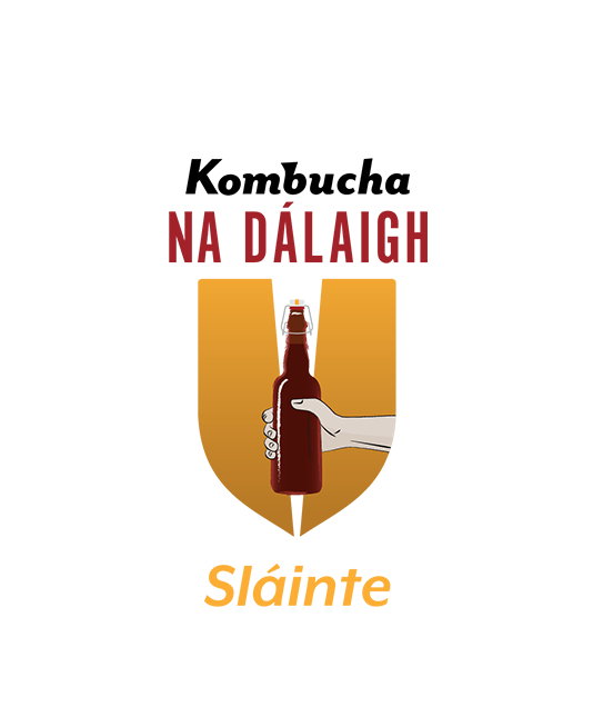 Sláinte: Turmeric & Ginger (3 bottles)
